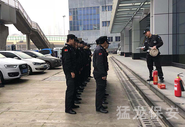 草莓影视在线观看